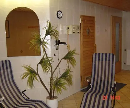 Gasthof Gaststätte&pension Alte Mühle 3*