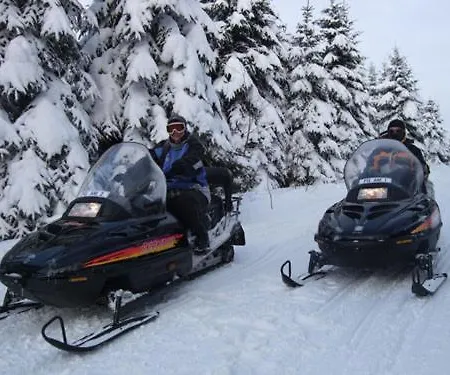 Gasthof Gaststätte&pension Alte Mühle 3*